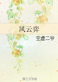 风云弈